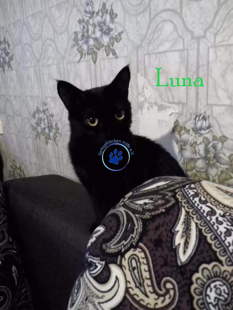 Bilder_Name/201705/Luna17 mit Namen.jpg